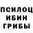 Галлюциногенные грибы Psilocybe uzibazuka
