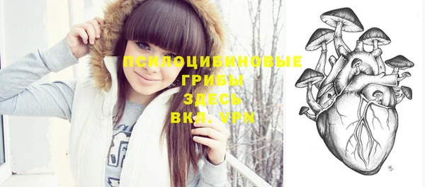 хмурый Дмитровск