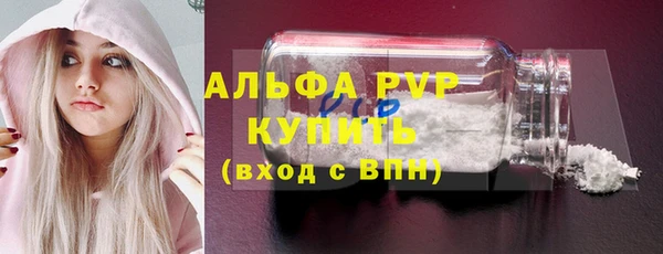хмурый Дмитровск