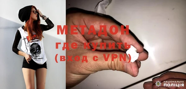 прущие грибы Гусев