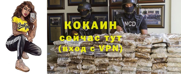 хмурый Дмитровск
