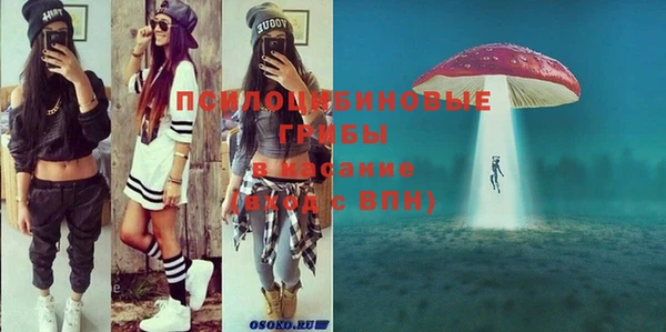 винт Дмитров