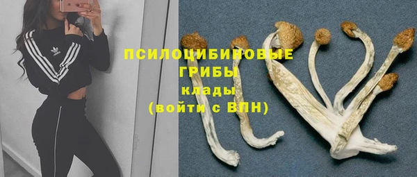 дурь Дмитриев