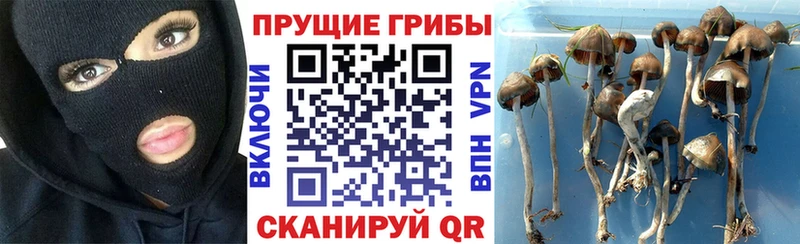 Купить  Кулебаки  Галлюциногенные грибы Magic Shrooms 